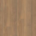 Saarland natuur eiken - 1