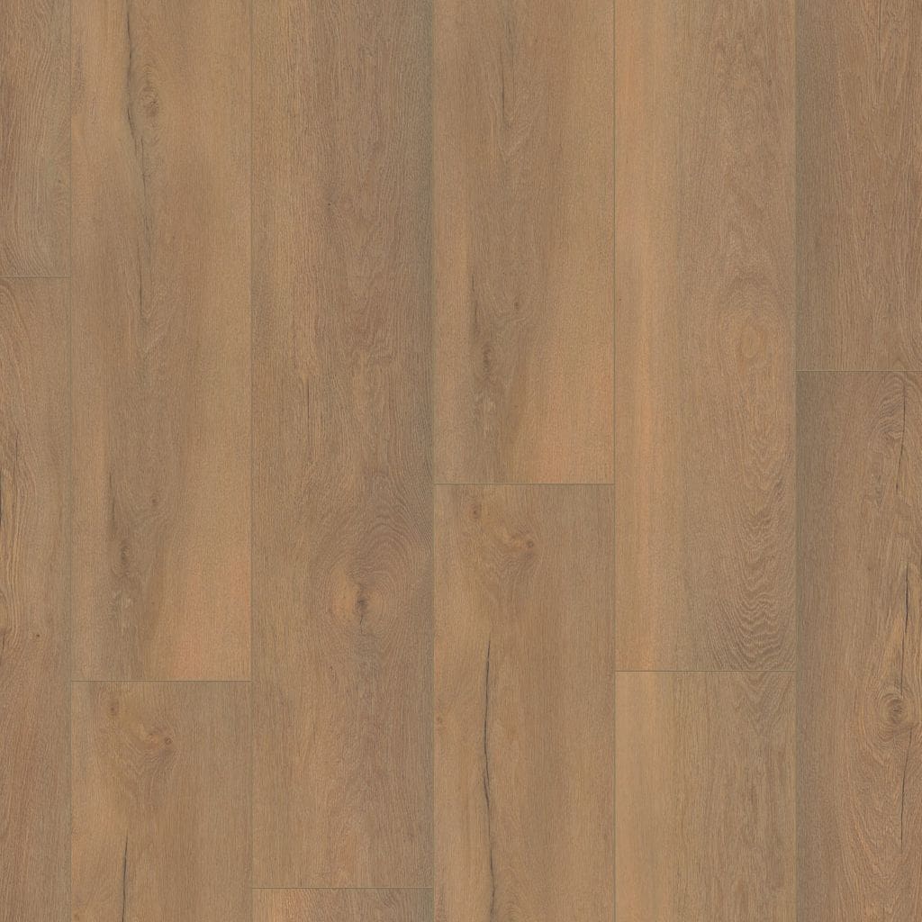 Saarland natuur eiken