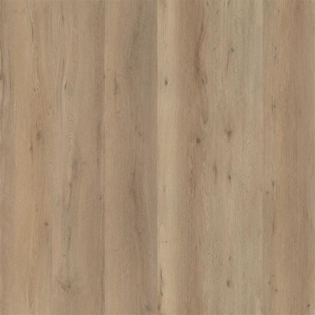 Vivero dryback natural oak