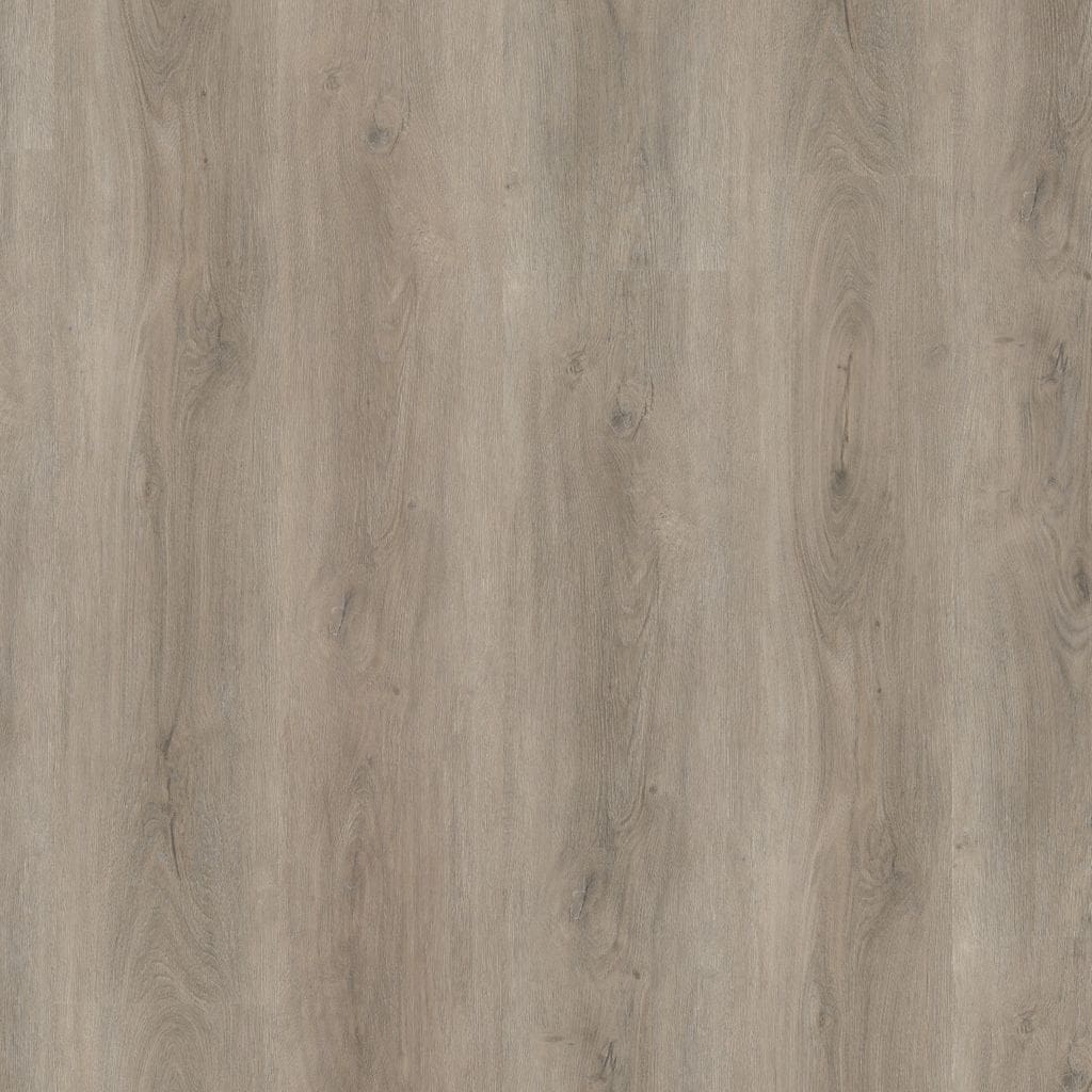 Robusto dryback light grey