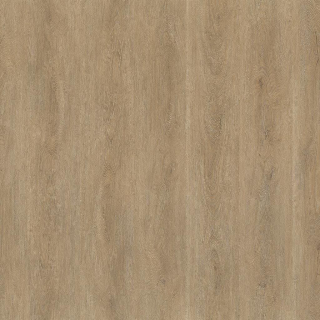 Robusto dryback natural oak