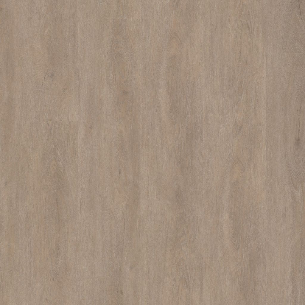 Robusto dryback light oak